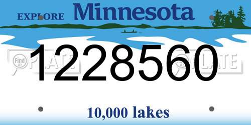 1228560 Minnesota License Plate