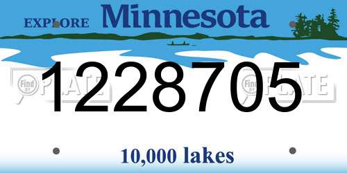 1228705 Minnesota License Plate