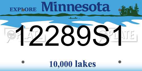 12289S1 Minnesota License Plate