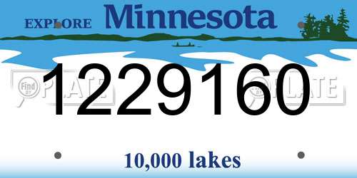 1229160 Minnesota License Plate