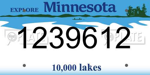 1239612 Minnesota License Plate
