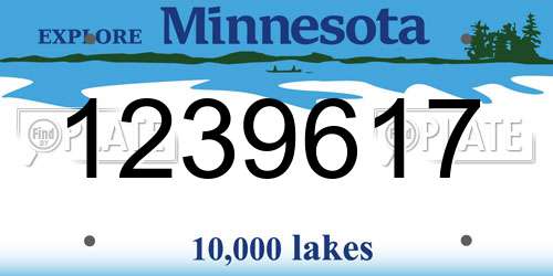 1239617 Minnesota License Plate