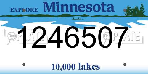 1246507 Minnesota License Plate