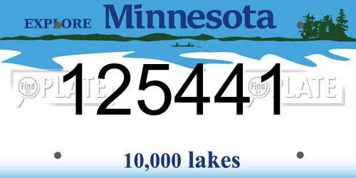 125441 Minnesota License Plate