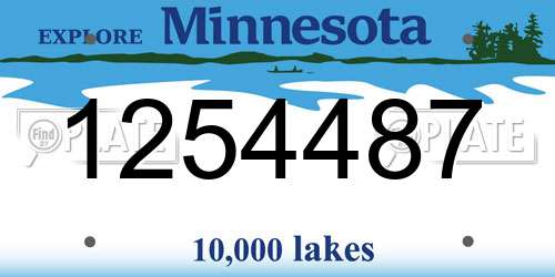1254487 Minnesota License Plate