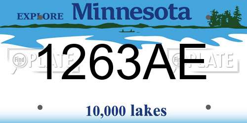 1263AE Minnesota License Plate