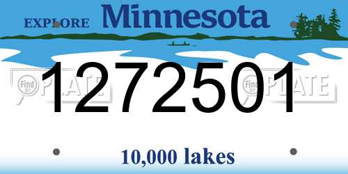 1272501 Minnesota License Plate