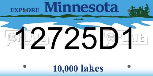 12725D1 Minnesota License Plate
