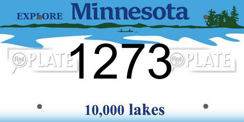 1273 Minnesota License Plate