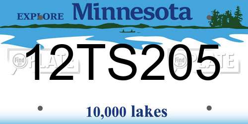 12TS205 Minnesota License Plate