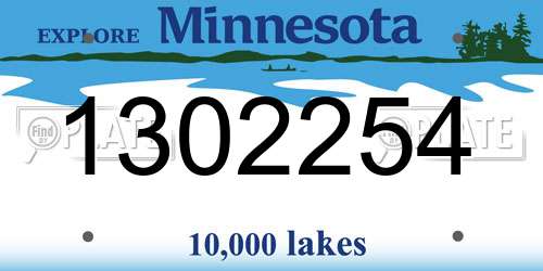 1302254 Minnesota License Plate