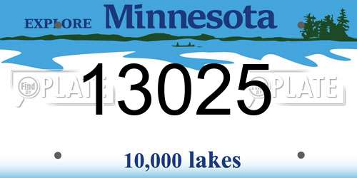 13025 Minnesota License Plate