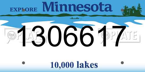 1306617 Minnesota License Plate
