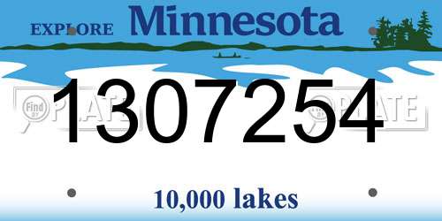 1307254 Minnesota License Plate