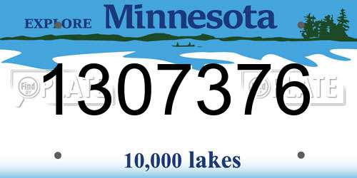 1307376 Minnesota License Plate