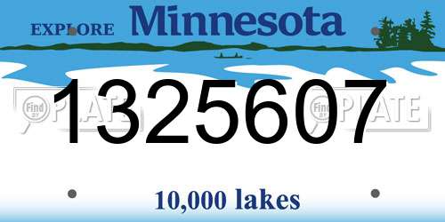 1325607 Minnesota License Plate