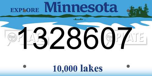 1328607 Minnesota License Plate