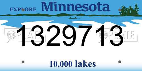 1329713 Minnesota License Plate