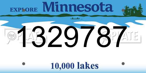 1329787 Minnesota License Plate