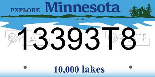 13393T8 Minnesota License Plate