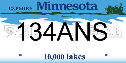 134ANS Minnesota License Plate