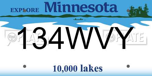 134WVY Minnesota License Plate