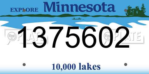 1375602 Minnesota License Plate