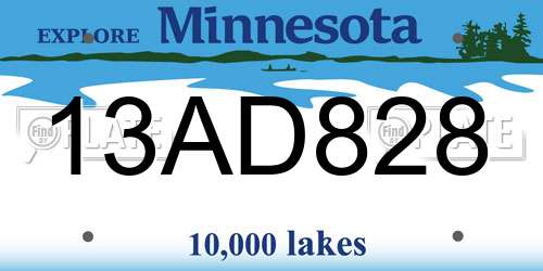 13AD828 Minnesota License Plate