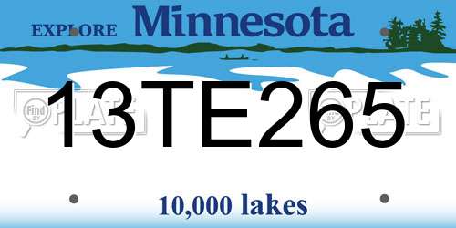 13TE265 Minnesota License Plate