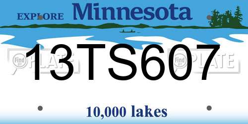 13TS607 Minnesota License Plate