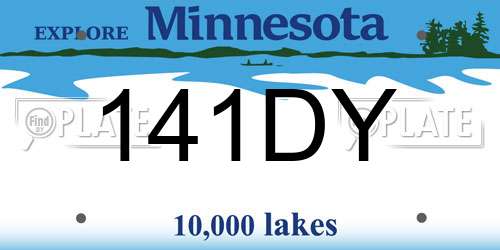 141DY Minnesota License Plate