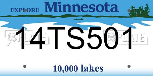 14TS501 Minnesota License Plate
