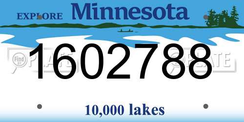1602788 Minnesota License Plate
