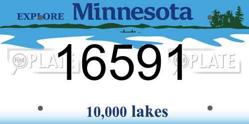 16591 Minnesota License Plate
