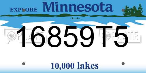 16859T5 Minnesota License Plate