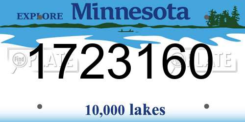1723160 Minnesota License Plate