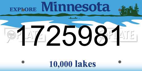 1725981 Minnesota License Plate