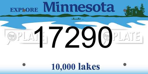 17290 Minnesota License Plate