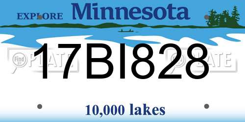17BI828 Minnesota License Plate