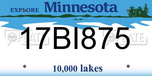 17BI875 Minnesota License Plate