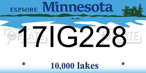 17IG228 Minnesota License Plate