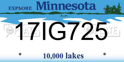 17IG725 Minnesota License Plate