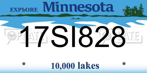 17SI828 Minnesota License Plate