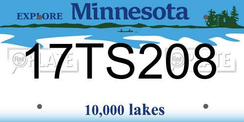 17TS208 Minnesota License Plate