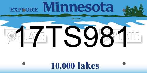17TS981 Minnesota License Plate