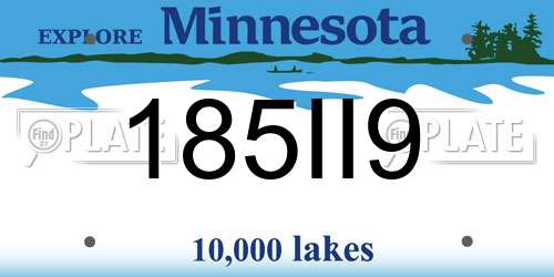 185II9 Minnesota License Plate
