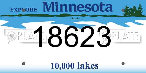 18623 Minnesota License Plate