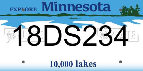 18DS234 Minnesota License Plate