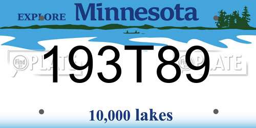 193T89 Minnesota License Plate