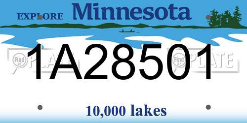 1A28501 Minnesota License Plate